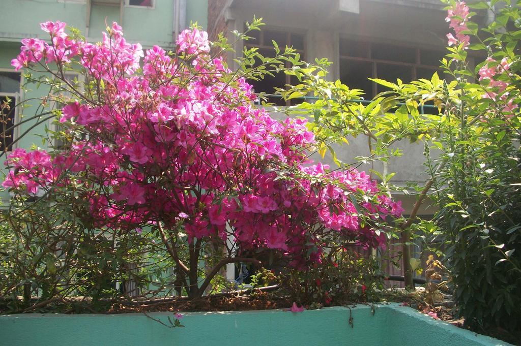 Hotel Impala Garden Kathmandu Buitenkant foto